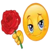 🌹