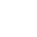 👤