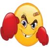 🥊