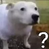 ❓