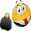 💼