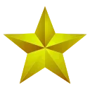 🌟