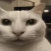 😶