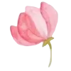 🌷
