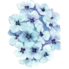 💐