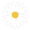🌼