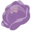 🌺