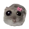 🎀