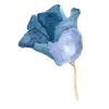 🌹