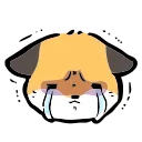 🦊