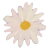 🌸