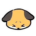 🦊