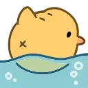 🐤