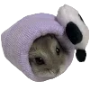 😴