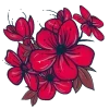 🌺