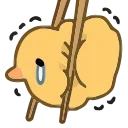 🐤