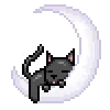 🌙