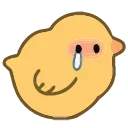 🐤