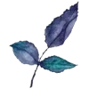 🌱