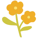 🌼