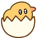 🐤