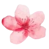 🌸