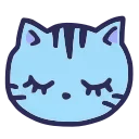 🐱