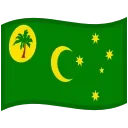 🇨🇨