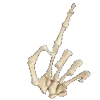 ☝️