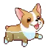 🐶