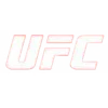🥊