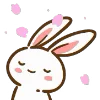 🐰
