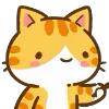 🐱