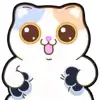 🐱