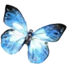 🦋