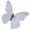 🦋