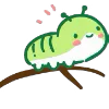 🐛