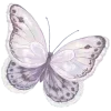 🦋