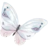 🦋
