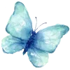🦋