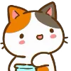 🐱
