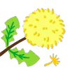 🌼