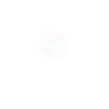 ✨