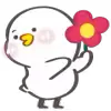 🌺