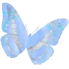 🦋