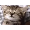 🛌