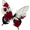 🦋