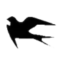 ⚫️