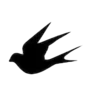 ⚫️