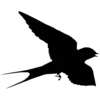 ⚫️